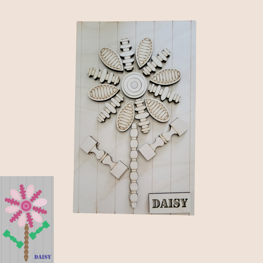 Spindle Daisy