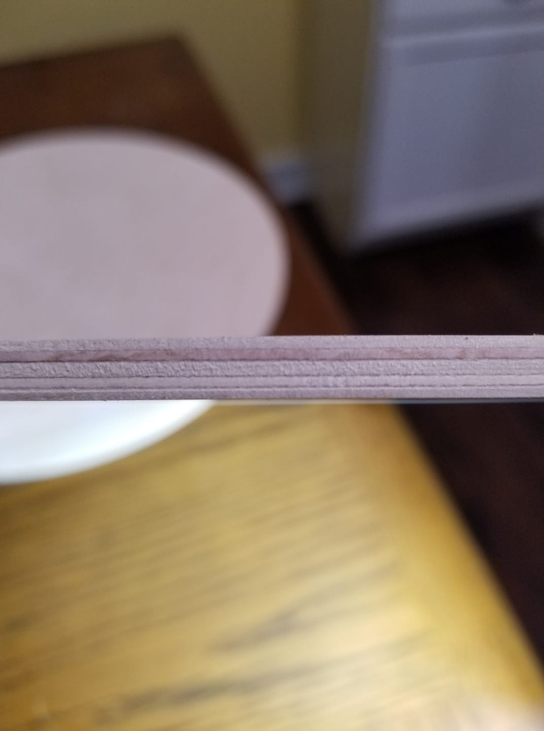 Wood Rounds for Crafting (Set of 6)