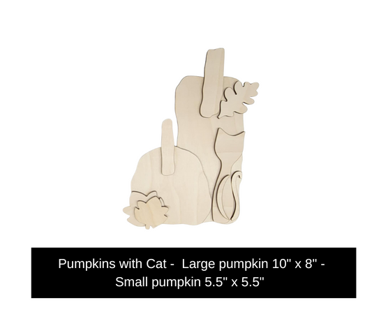 Pumpkins with a Cat