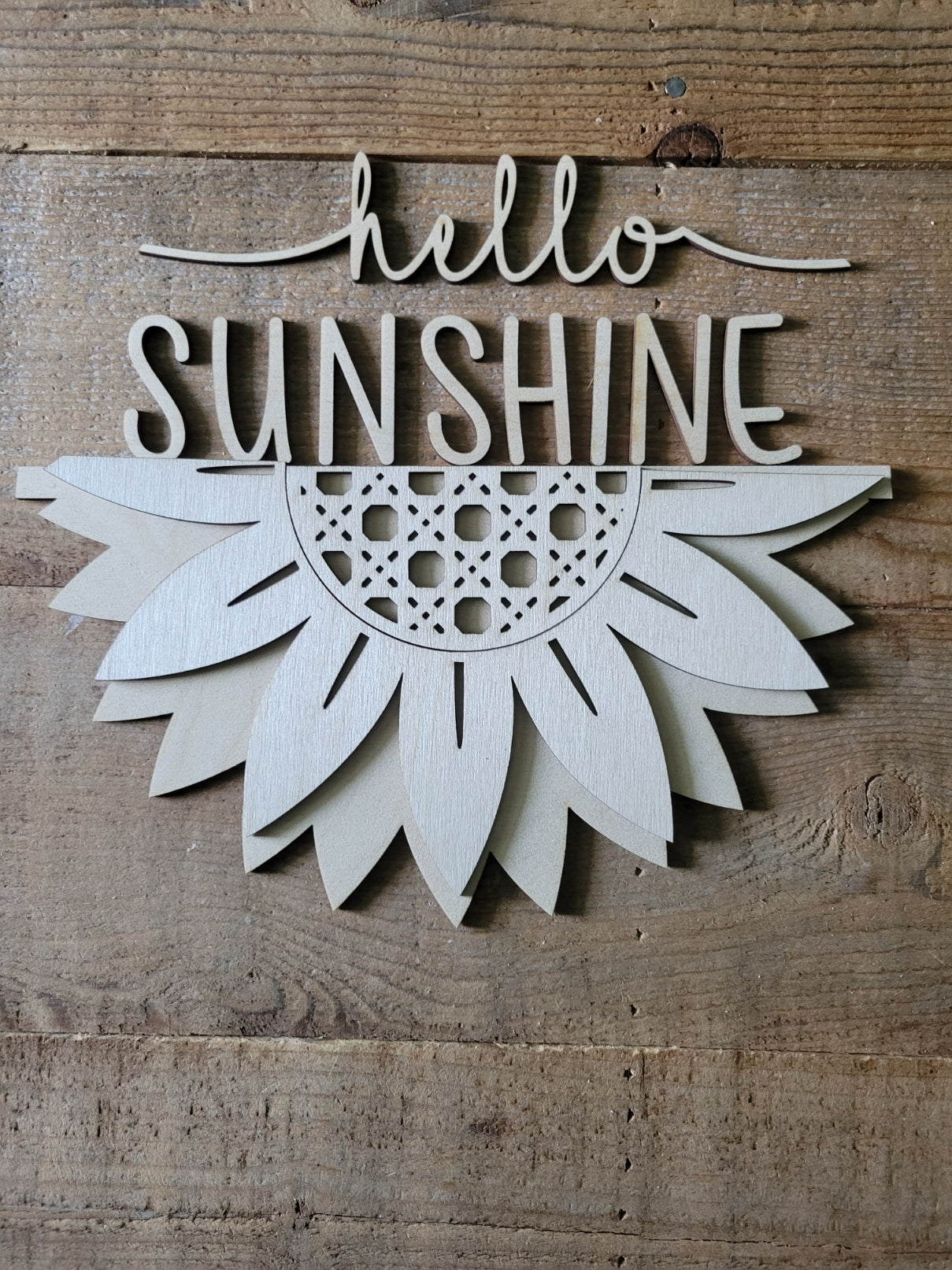 Hello Sunshine DIY Kit